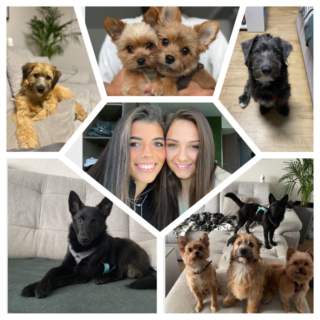 Pflegestelle Andrada Oprea und Jessica Lucas