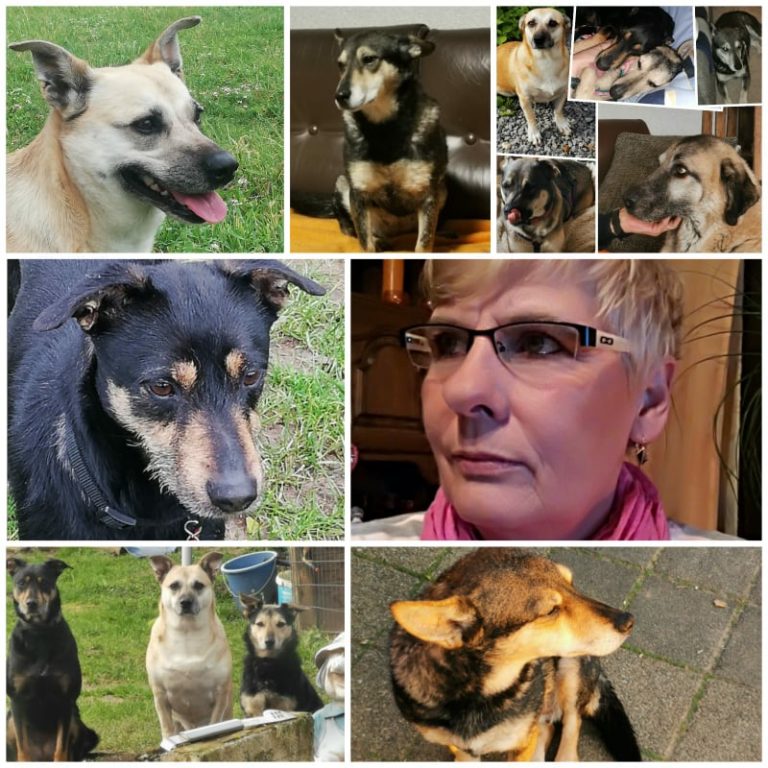 Pflegestelle Elke Braun