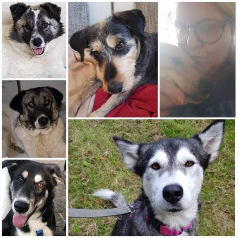 Pflegestelle Iris Müller