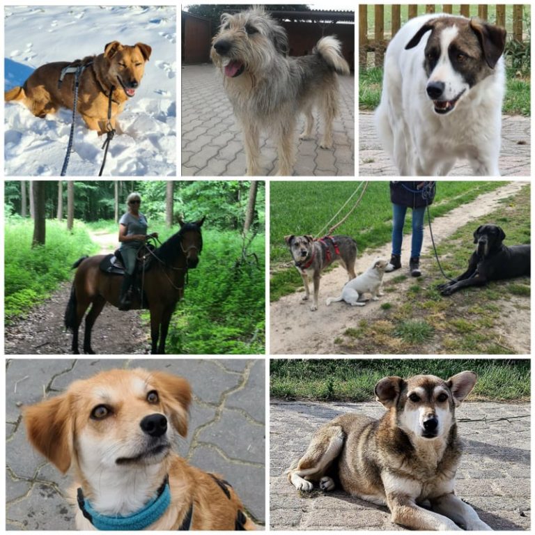 Pflegestelle Sandra Cyris