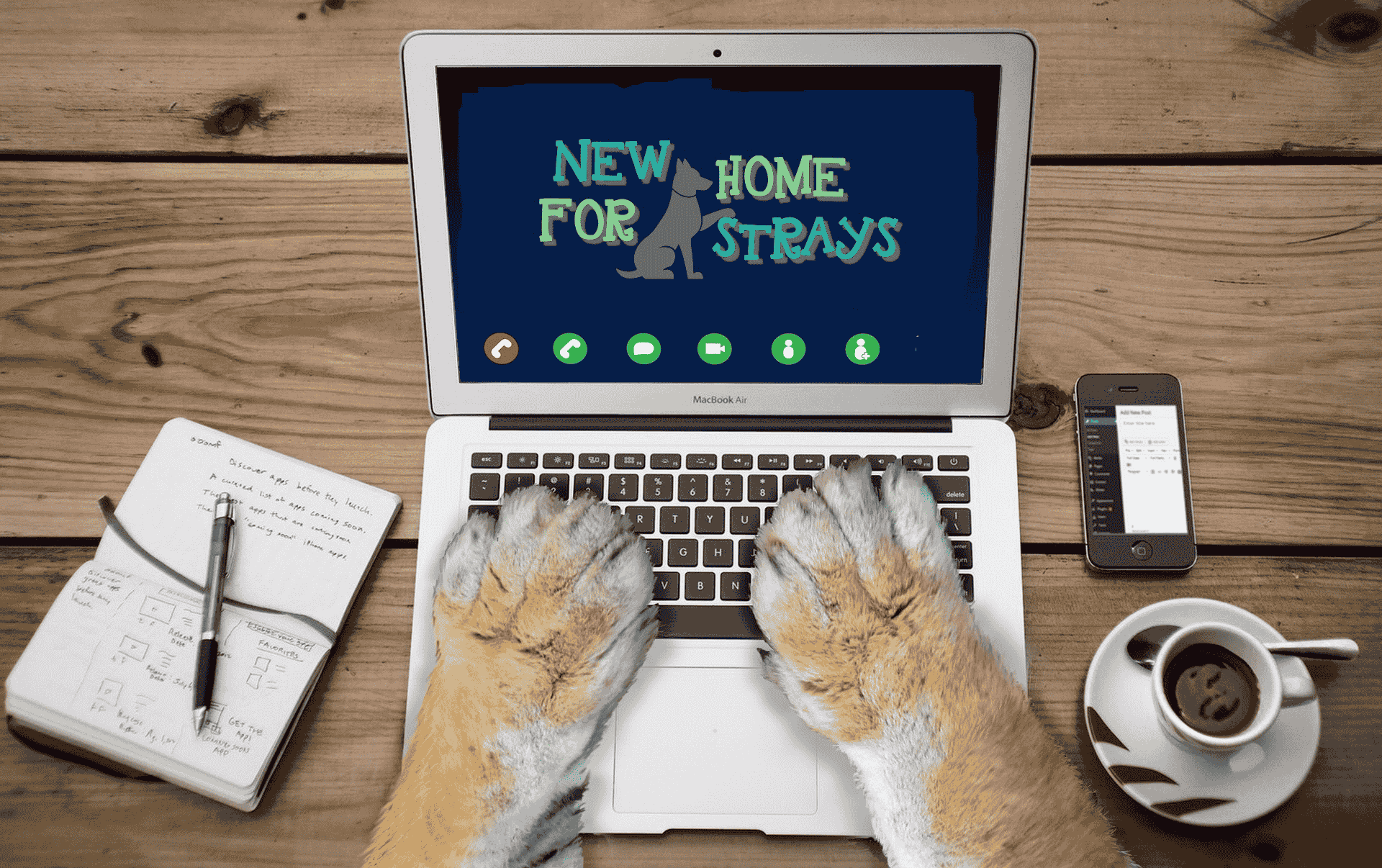 Dein Kontakt zu New Home for Strays e.V.