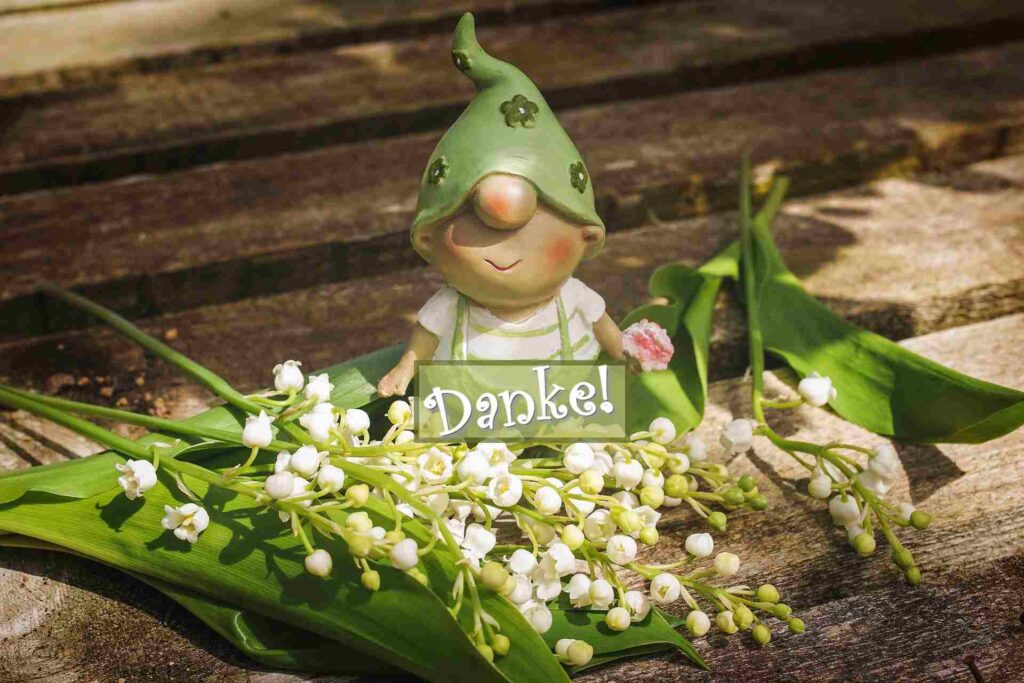 Die Unterstützer und Förderer von New Home for Strays e.V.