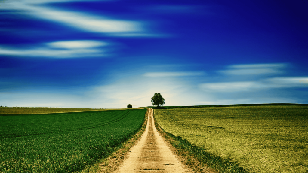 Hier kannst du unsere Pflegestellen kennenlernen.